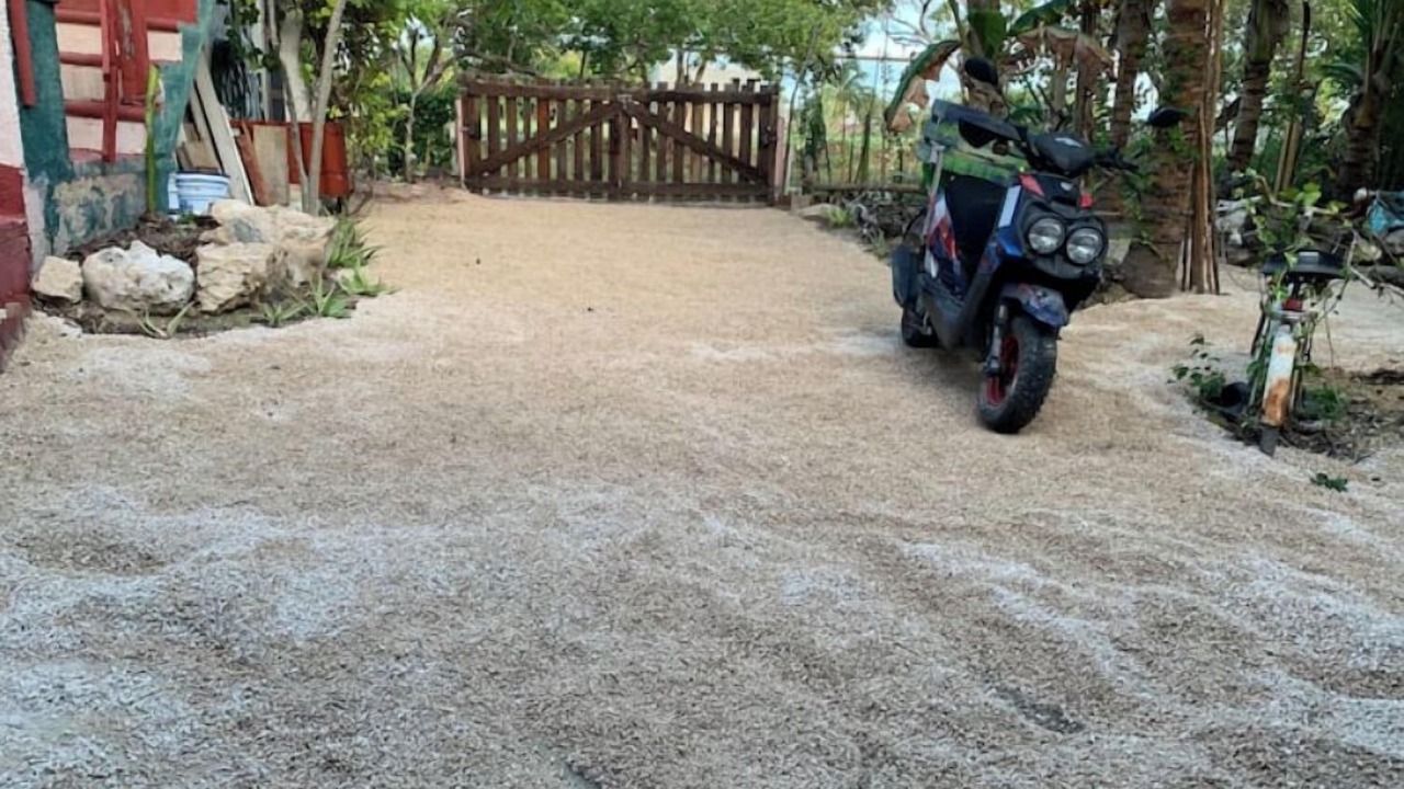 Photo of Outdoor in Telchac Puerto