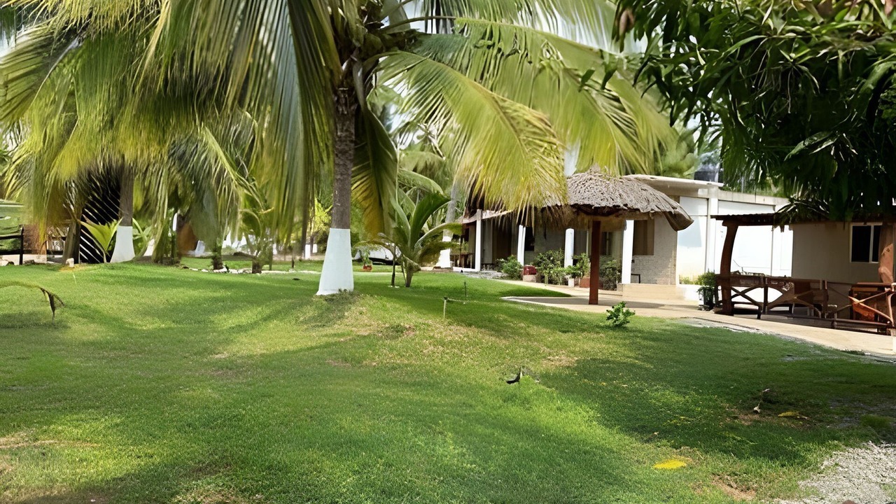 Photo of Outdoor in Saladita