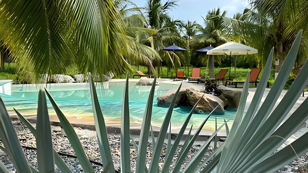 Photo of Outdoor in Saladita