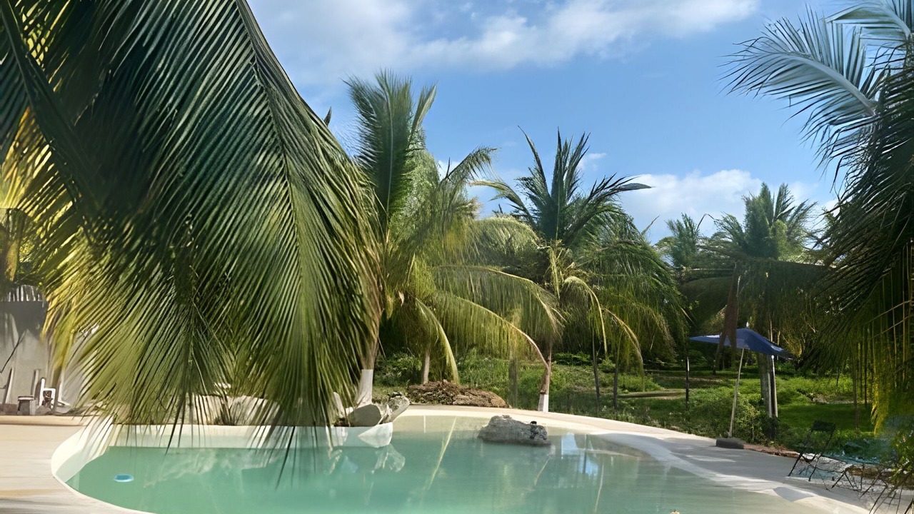 Photo of Outdoor in Saladita