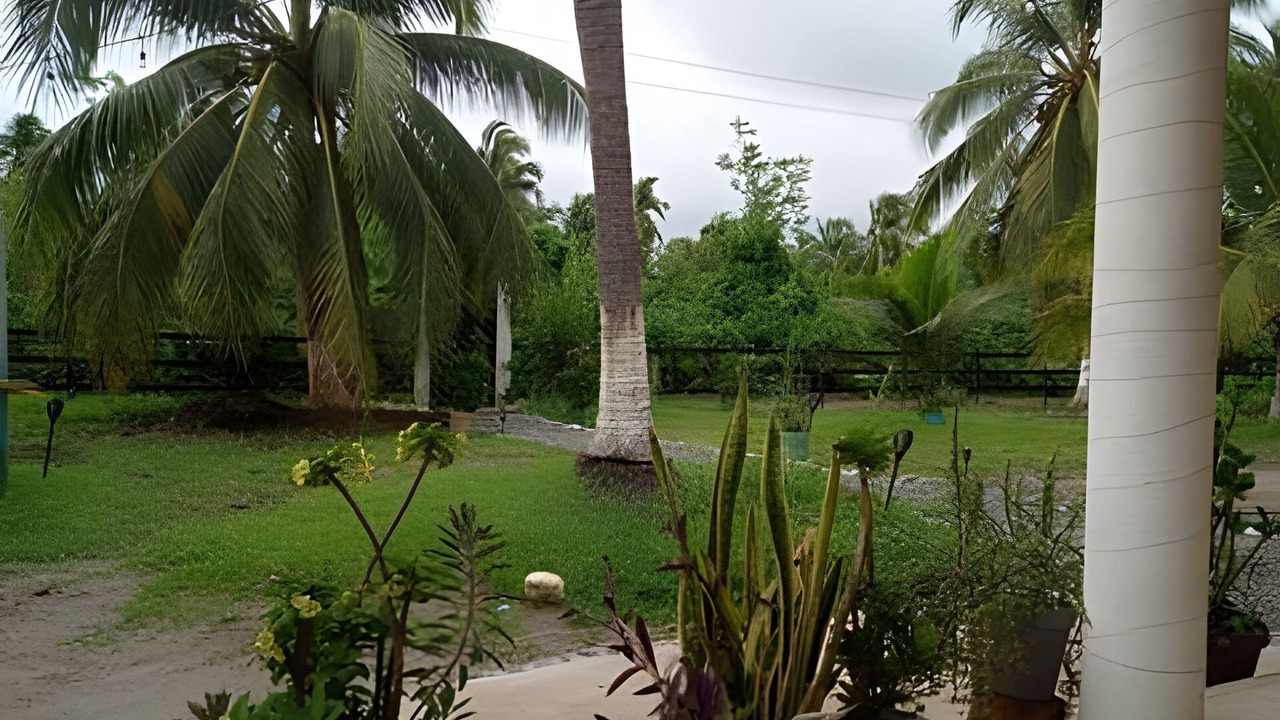 Photo of Outdoor in Saladita