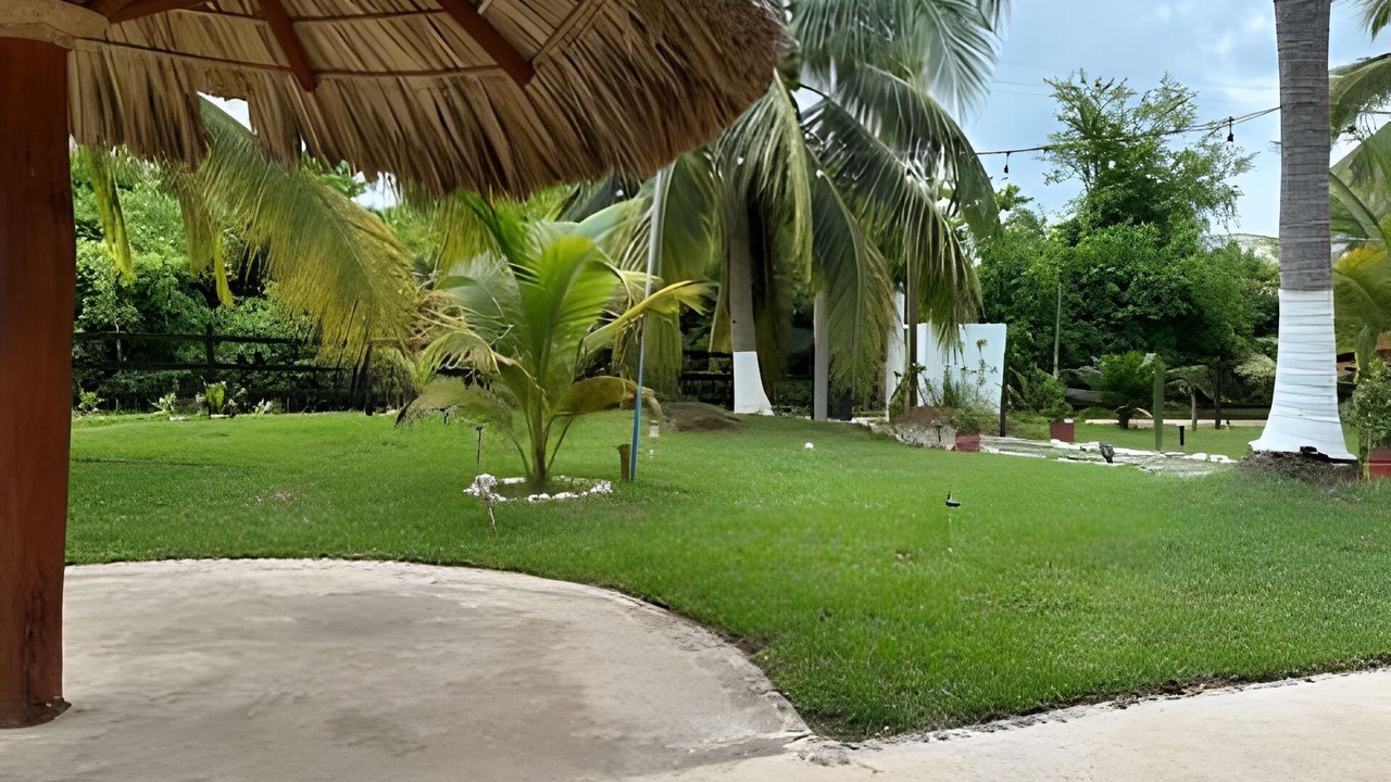 Photo of Outdoor in Saladita