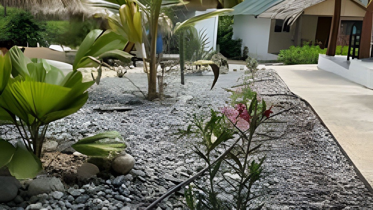 Photo of Outdoor in Saladita