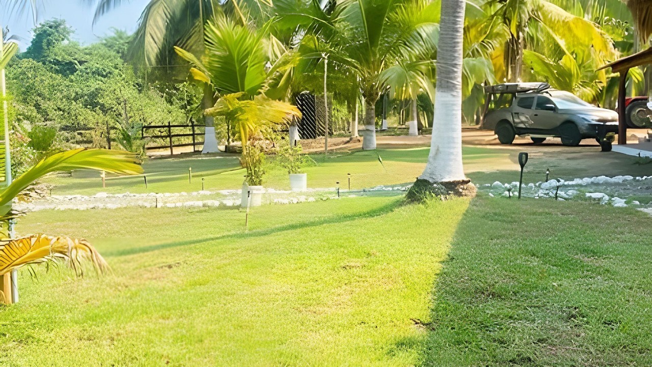 Photo of Outdoor in Saladita