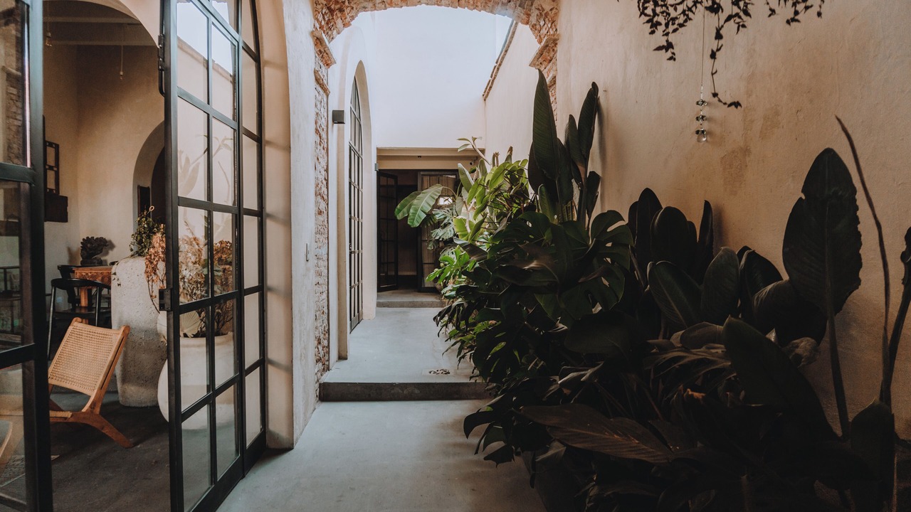 Photo of Others in Downtown Queretaro
