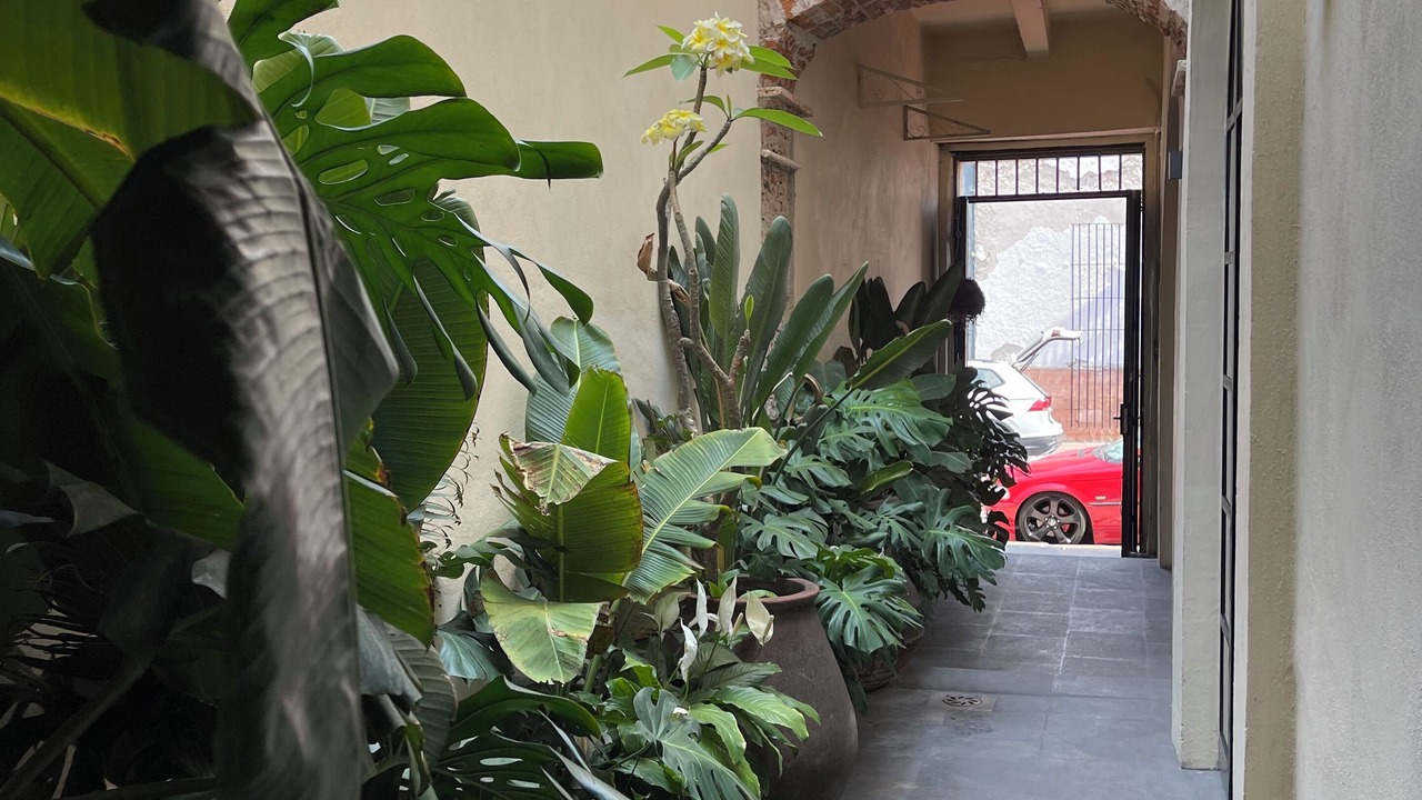 Photo of Outdoor in Downtown Queretaro