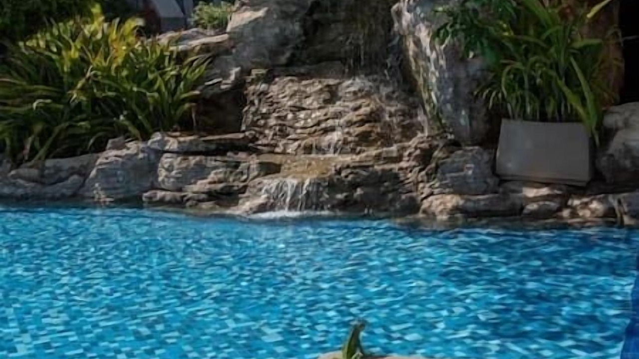 Photo of Outdoor in Las Glorias