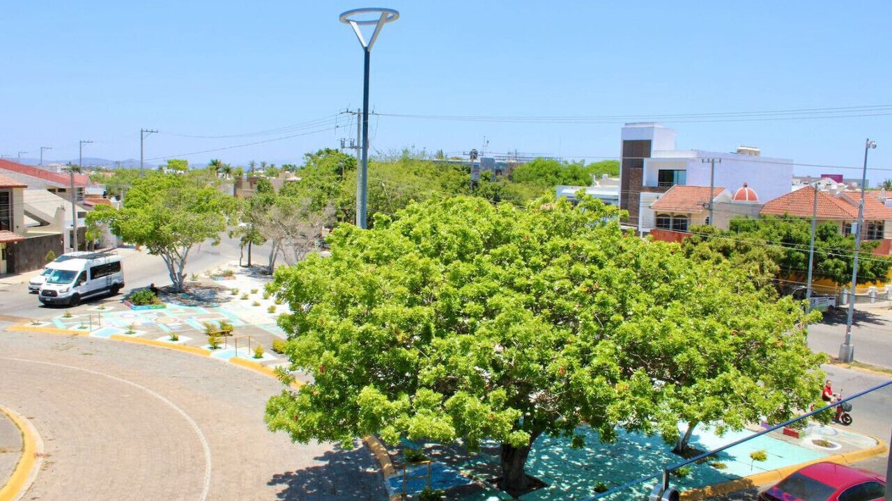Photo of Others in Lomas de Mazatlan