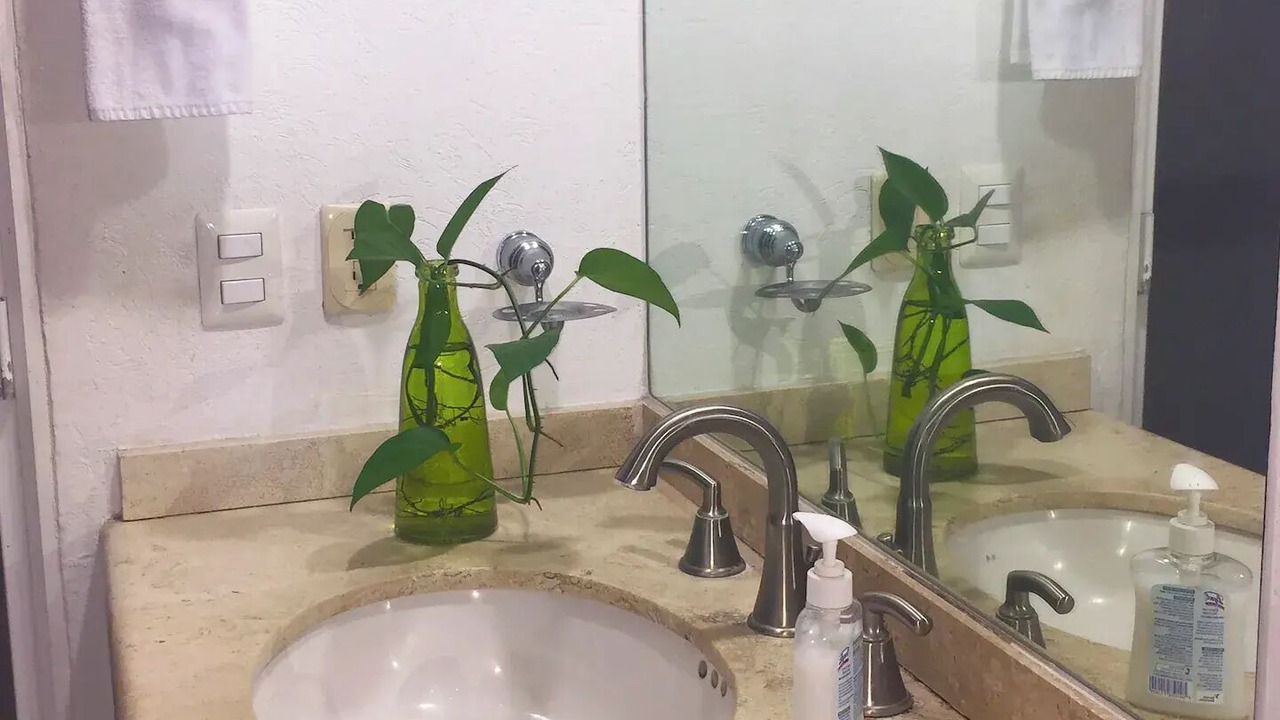 Photo of Bathroom in Marina Vallarta