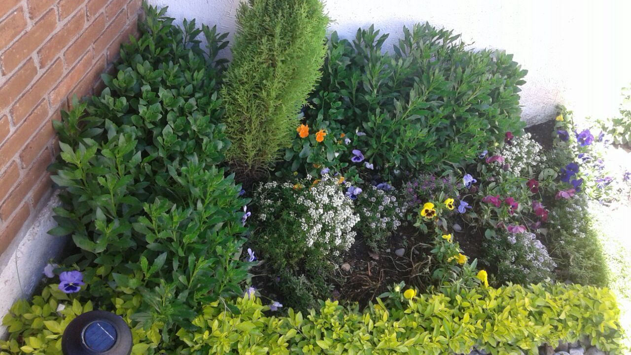 Photo of Outdoor in El Santuario