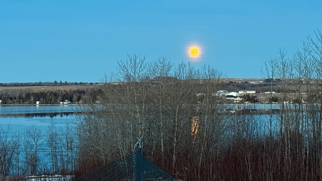 Photo of Others in Fort Kent Mills