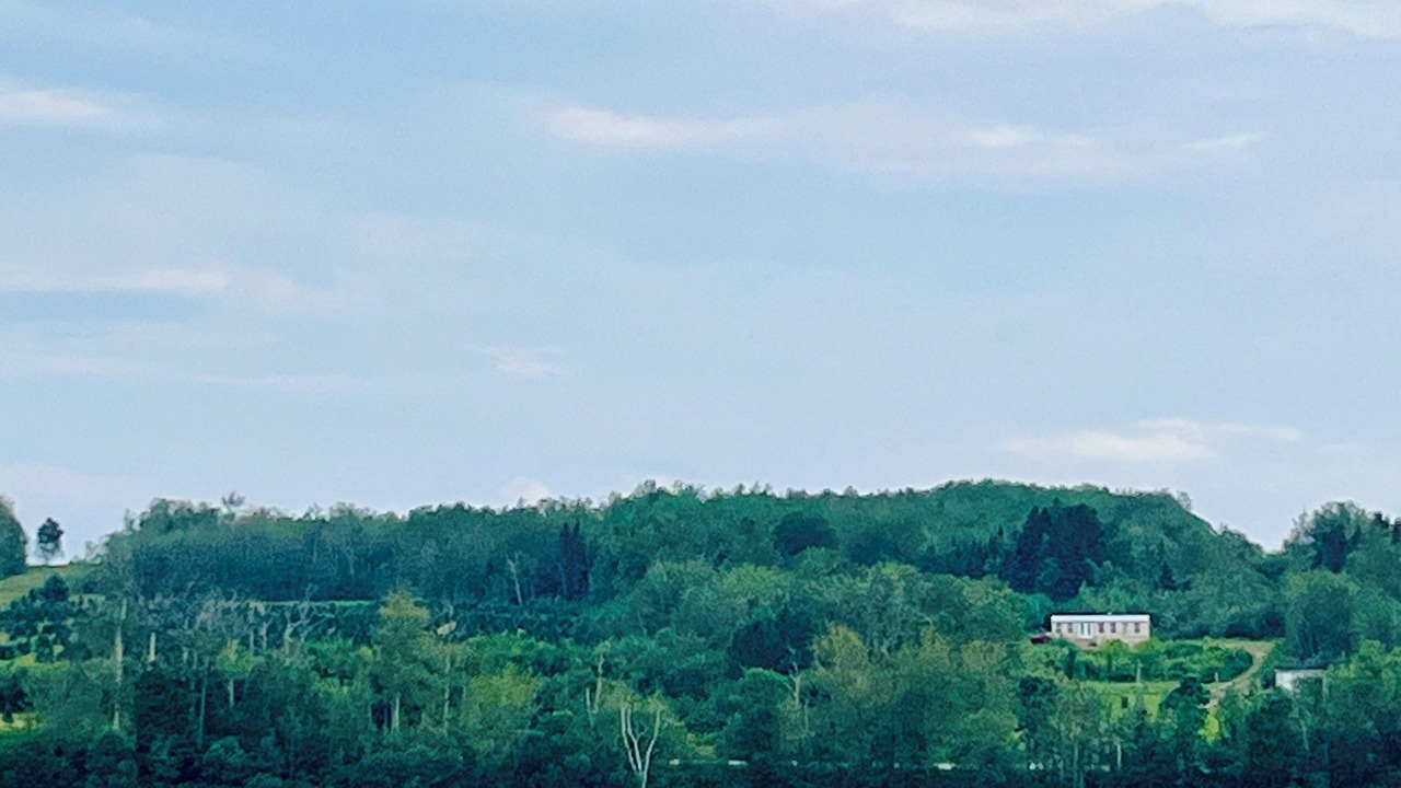 Photo of Others in Fort Kent Mills