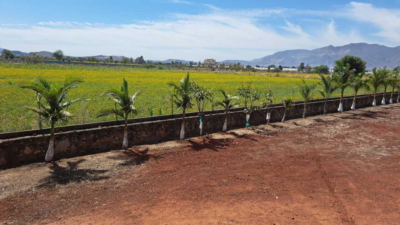 Photo of Outdoor in Etzatlan