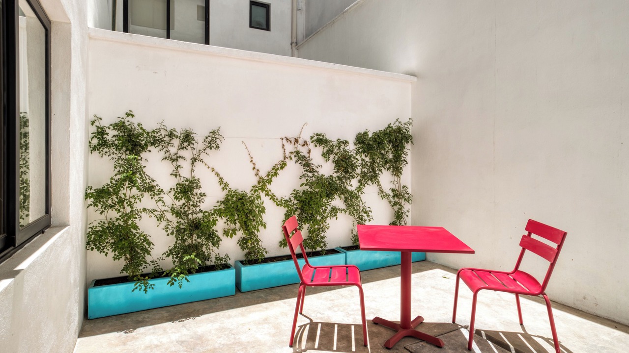 Photo of Patio Balcony in Colonia Roma