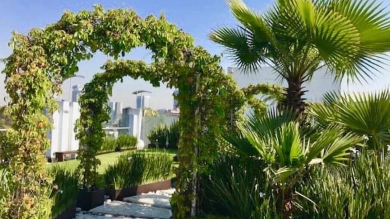 Photo of Outdoor in La Condesa