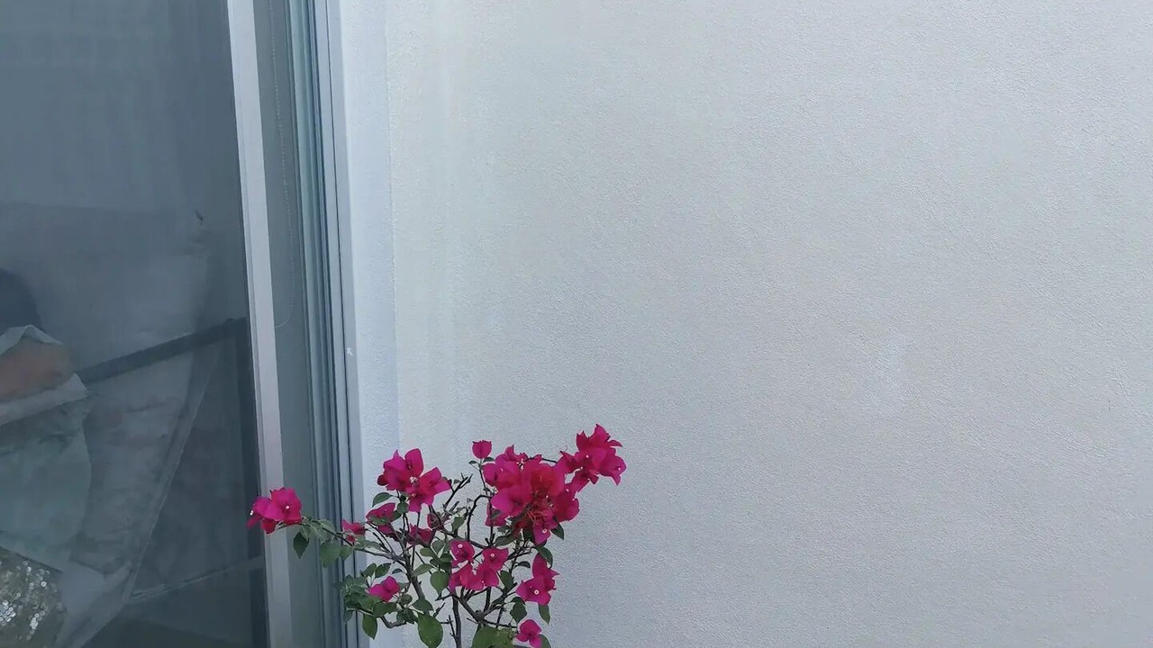 Photo of Outdoor in Manzanillo