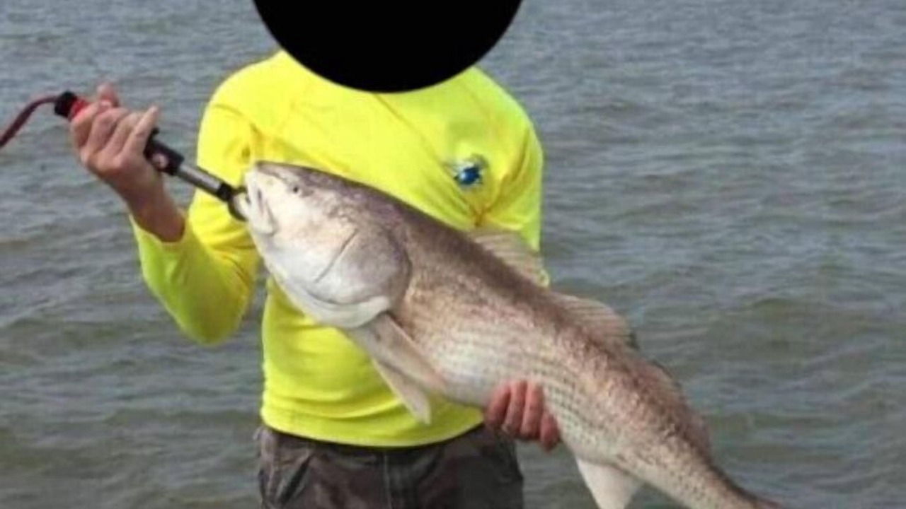 Photo of Others in Texas City