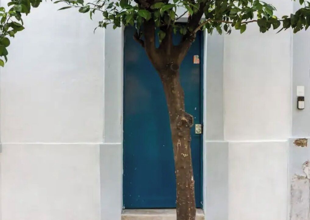 Photo of Outdoor in Guadalajara