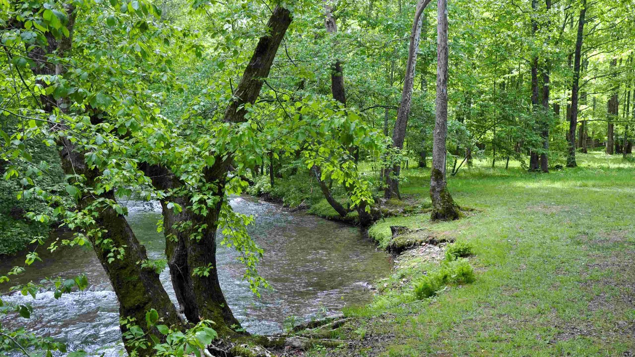 Photo of Others in Blairsville