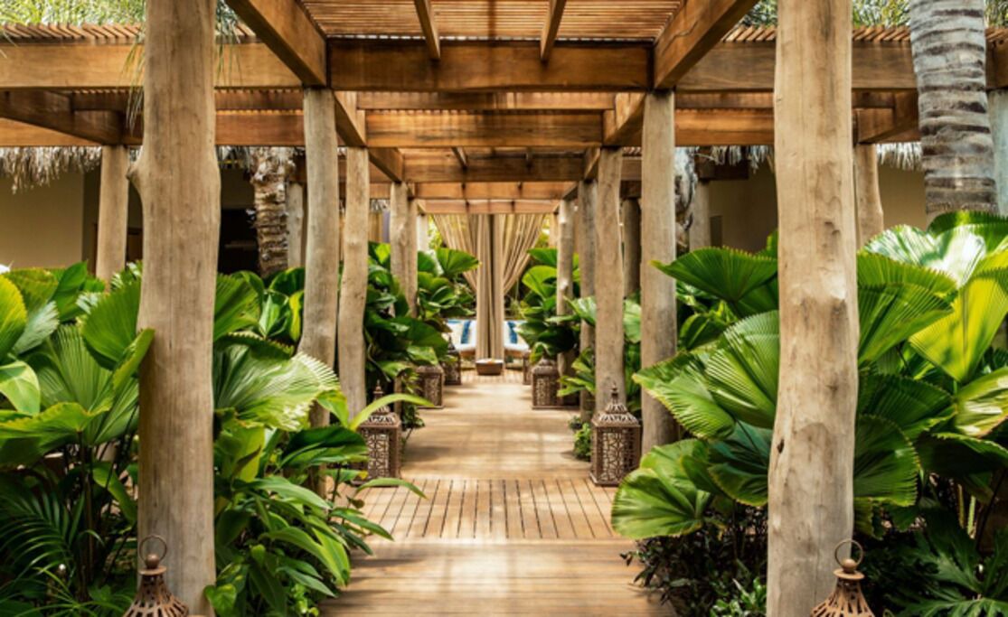 Photo of Outdoor in Mezcales