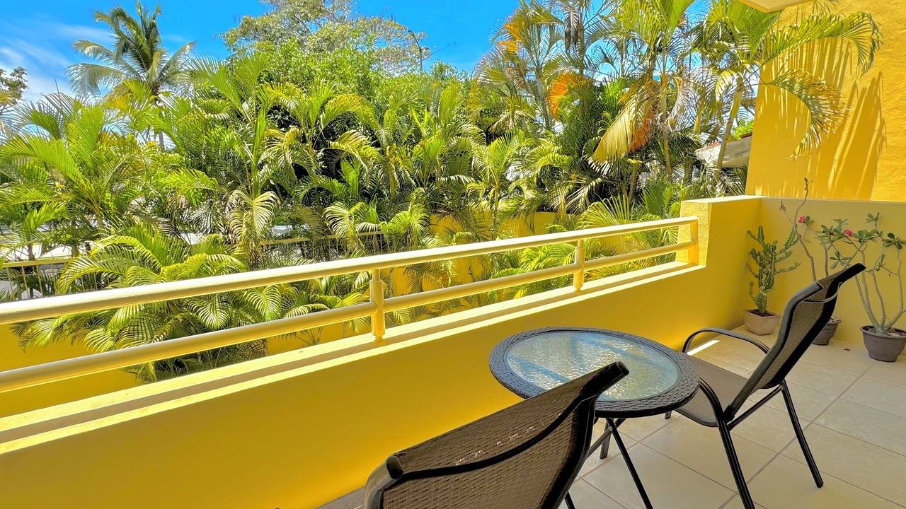 Photo of Outdoor in Flamingos