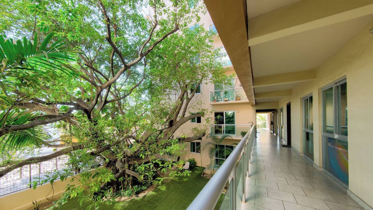 Photo of Outdoor in Palmar de Aramara
