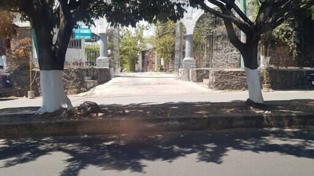 Photo of Others in Cuernavaca