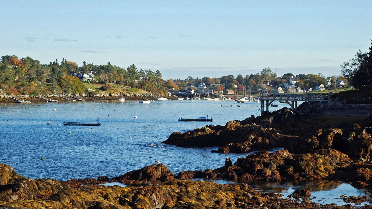 Photo of Others in Bailey Island