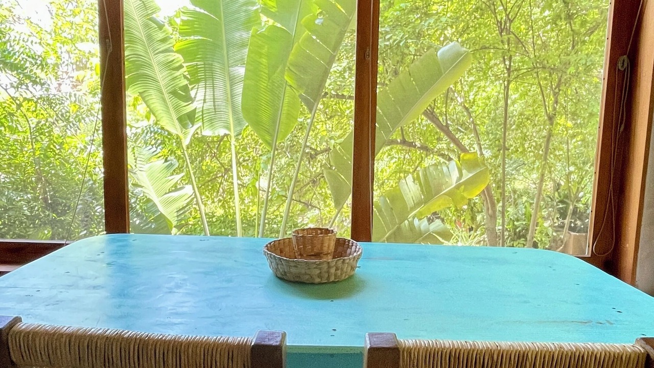 Photo of Others in Mazunte