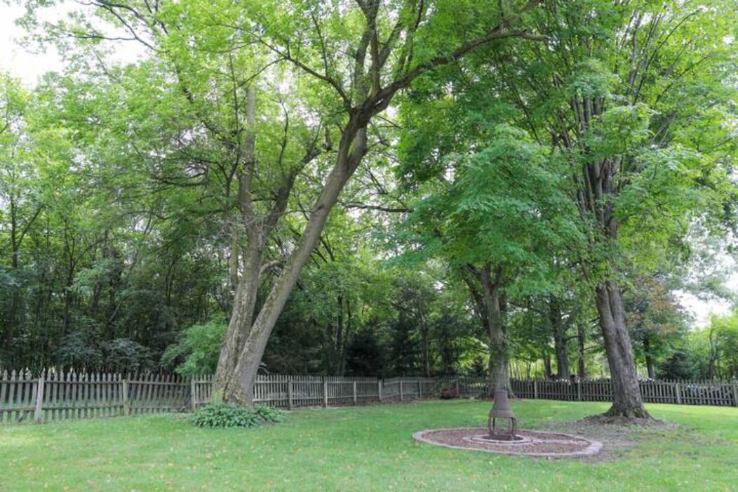 Photo of Outdoor in Edwardsburg