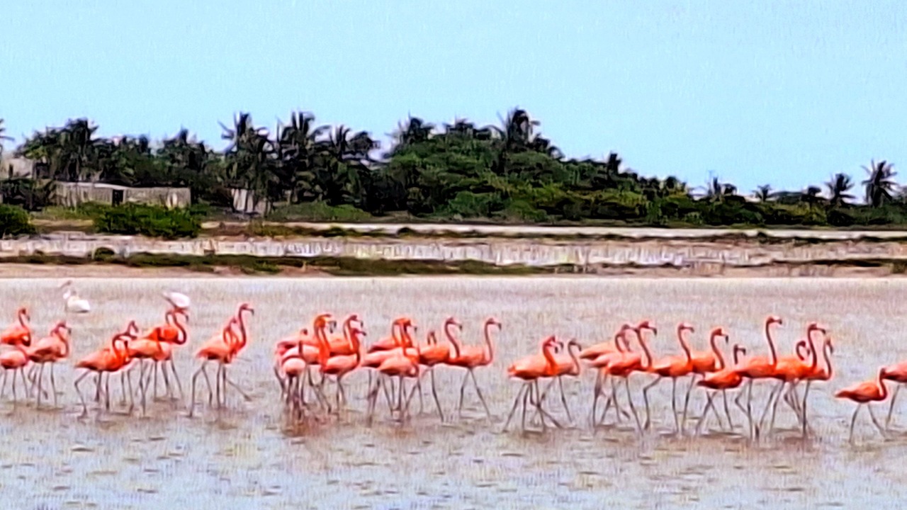 Photo of Others in Sinanche