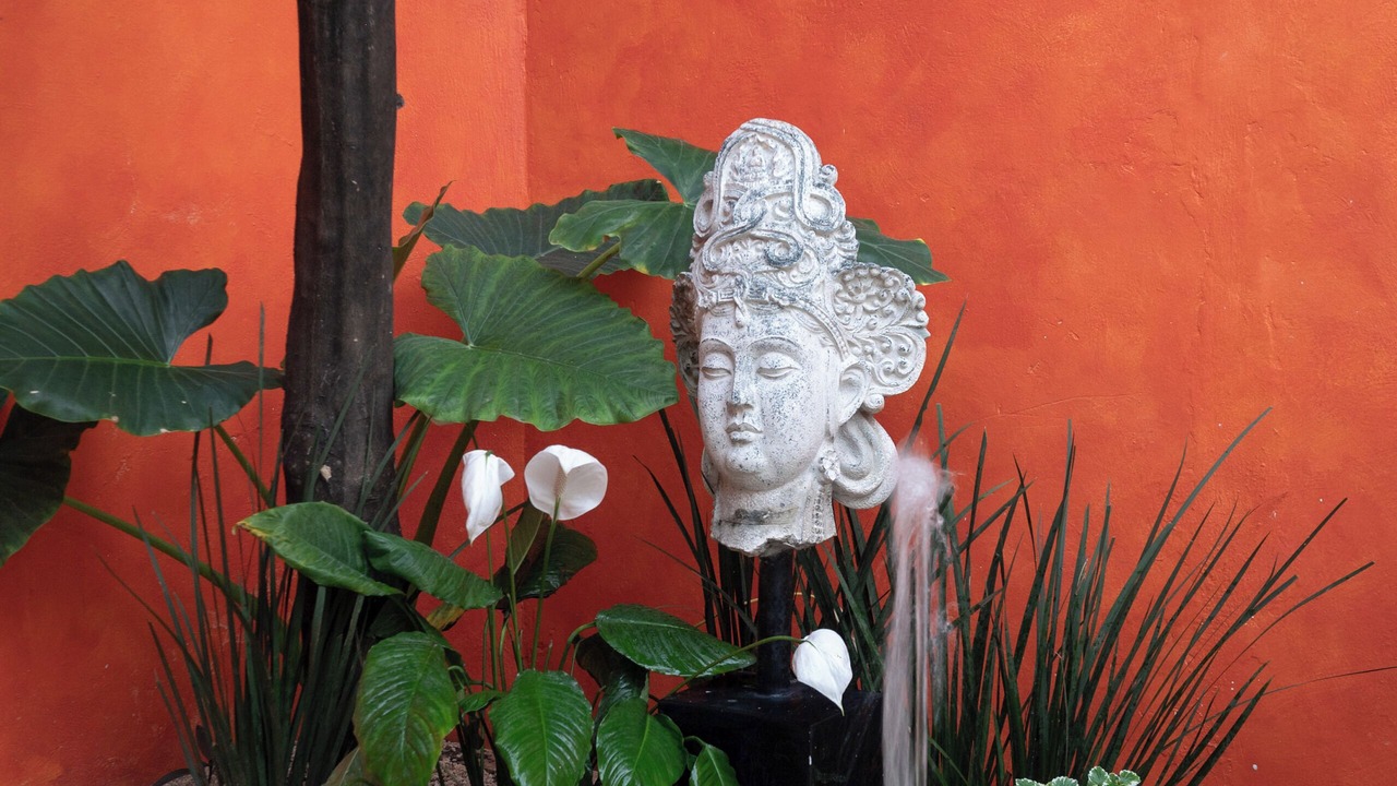 Photo of Outdoor in Centro