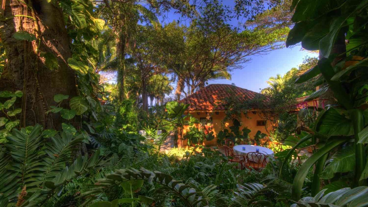 Photo of Outdoor in Platanitos