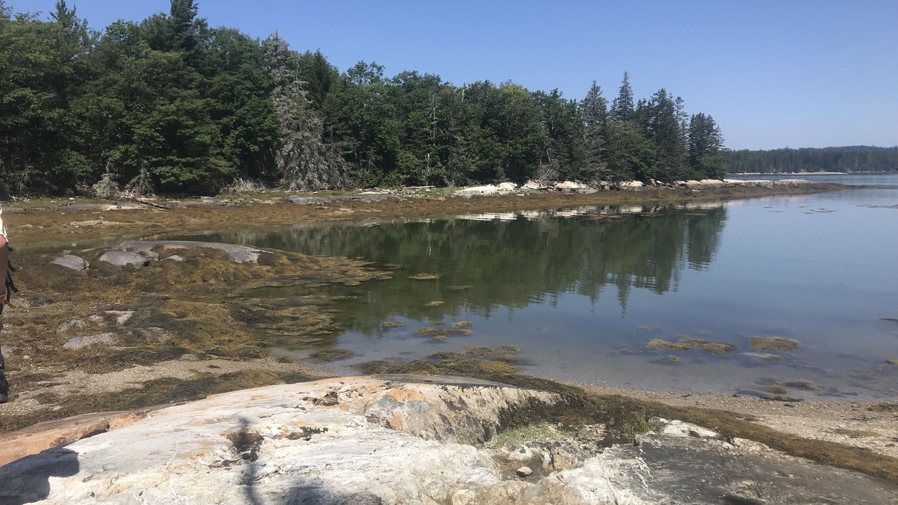 Photo of Others in Castine
