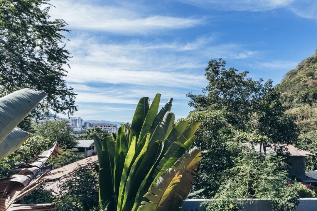Photo of Outdoor in El Caloso