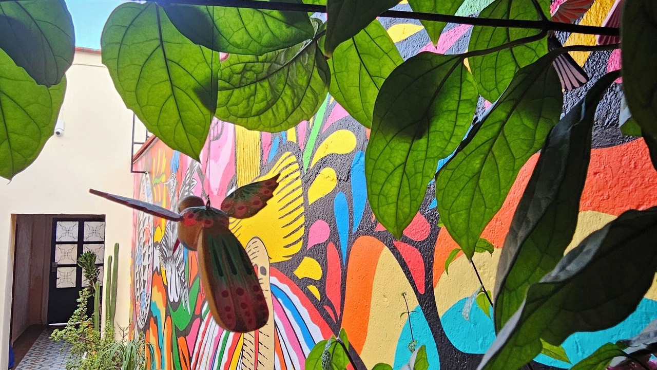 Photo of Outdoor in Ruta Independencia