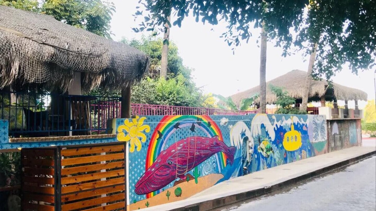 Photo of Outdoor in Downtown San Jose del Cabo
