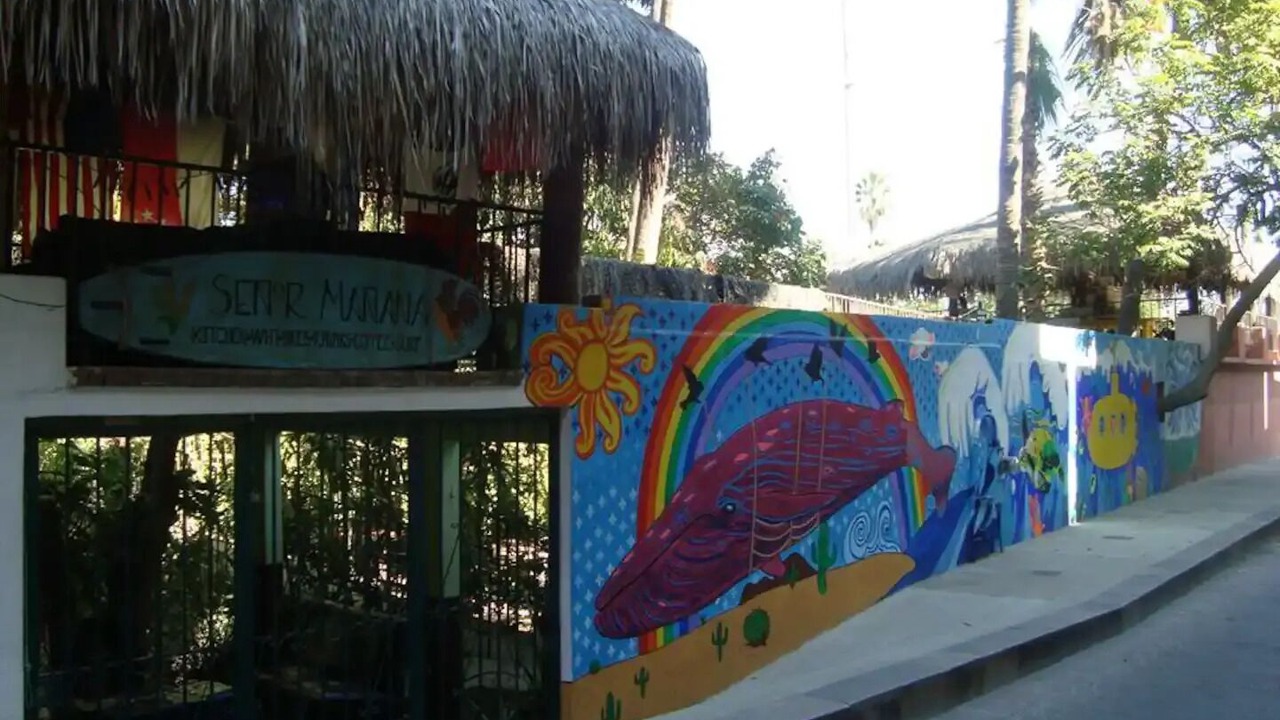 Photo of Outdoor in Downtown San Jose del Cabo