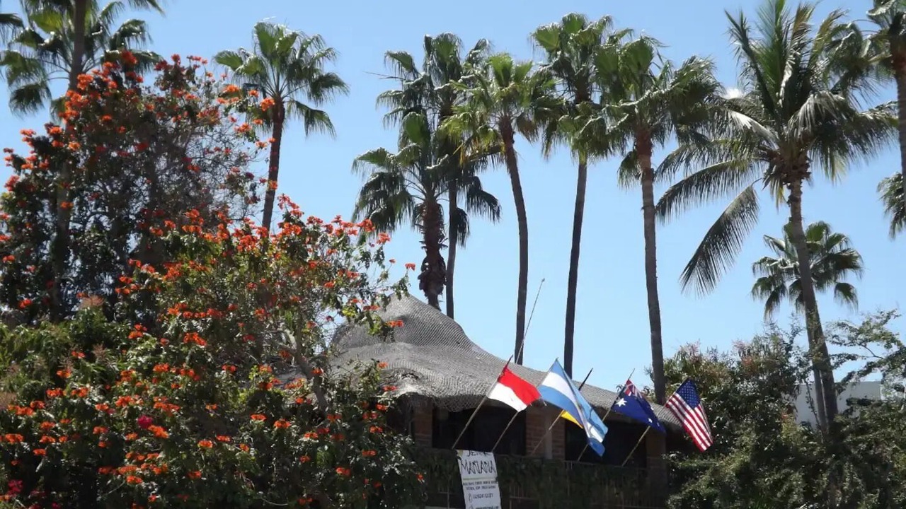 Photo of Outdoor in San Jose del Cabo