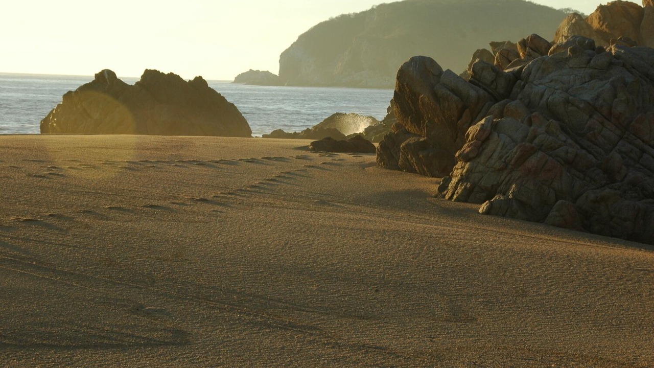 Photo of Others in Villa del Mar