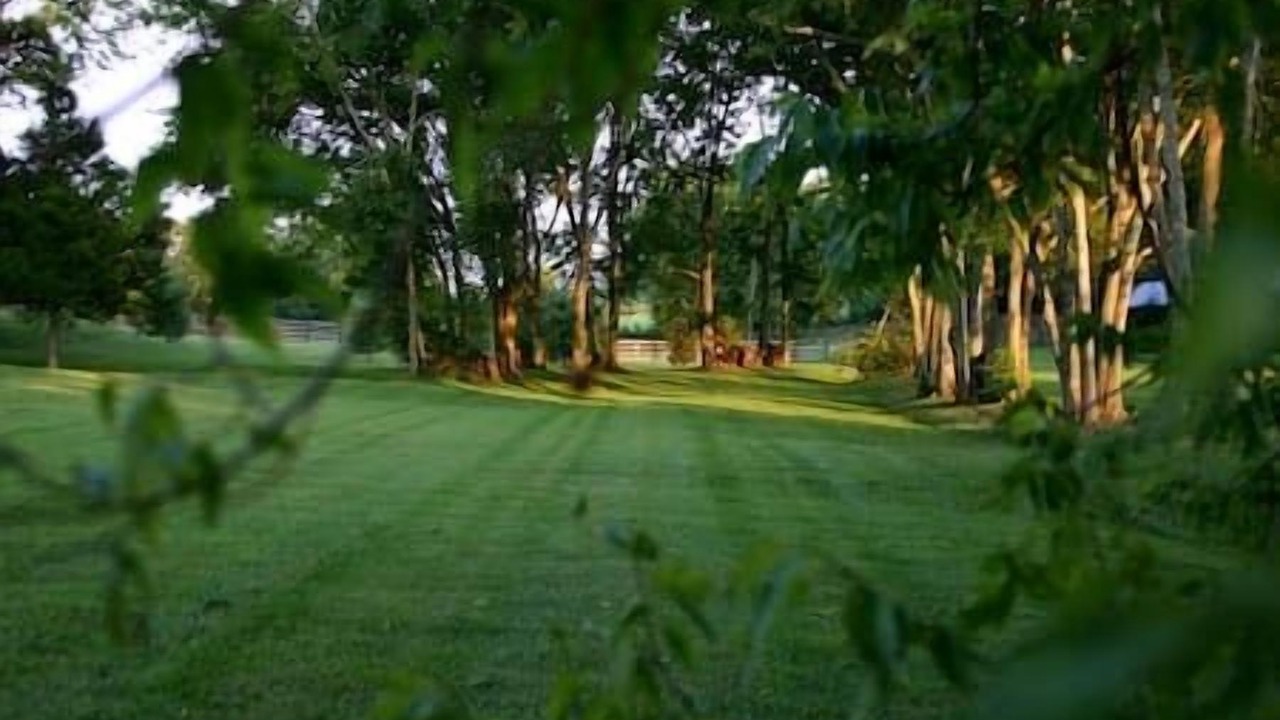 Photo of Outdoor in Franklin
