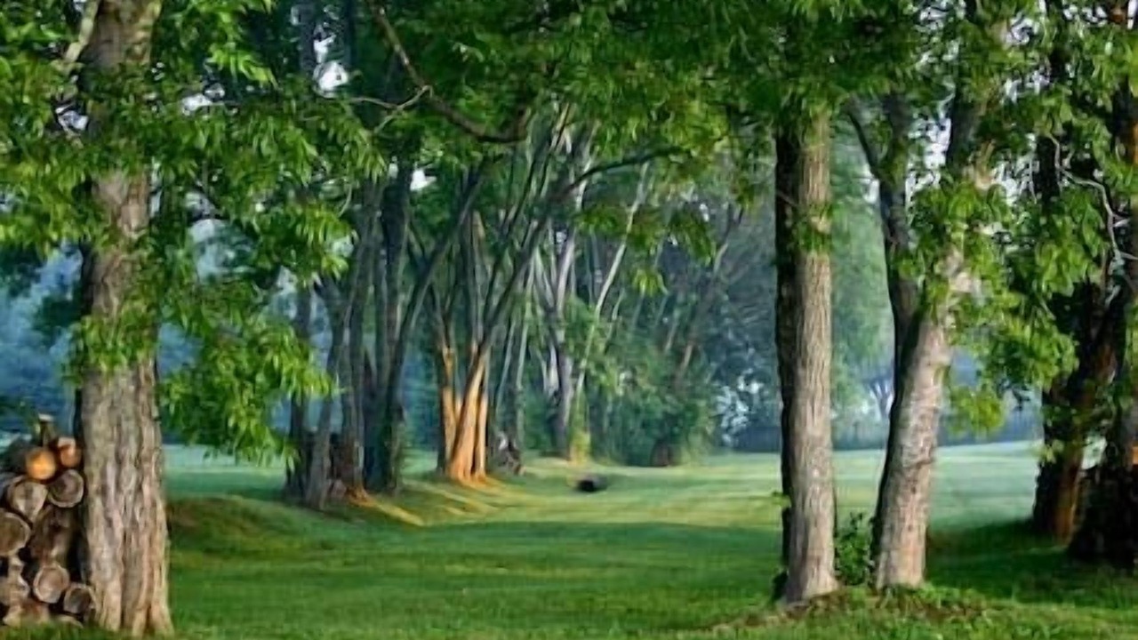 Photo of Others in Franklin