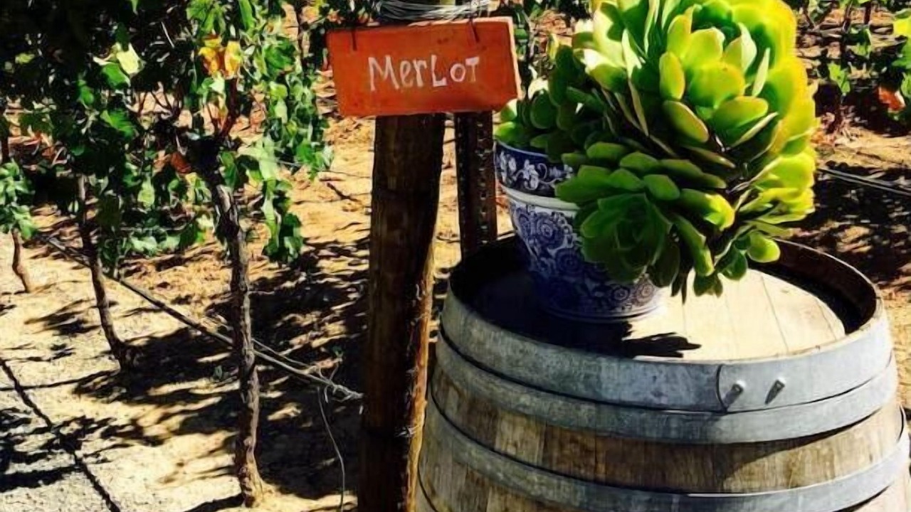 Photo of Outdoor in La Mision
