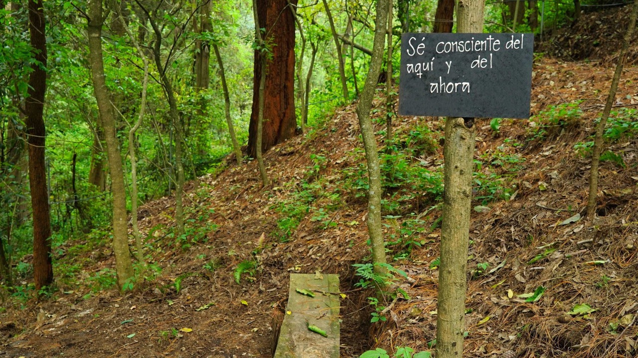 Photo of Outdoor in Macheros