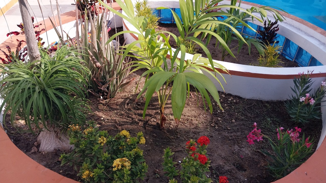 Photo of Outdoor in Chelem