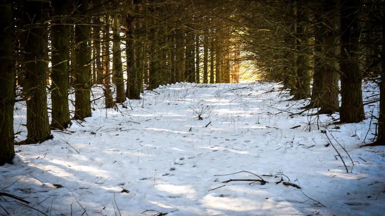 Photo of Others in Johnstown