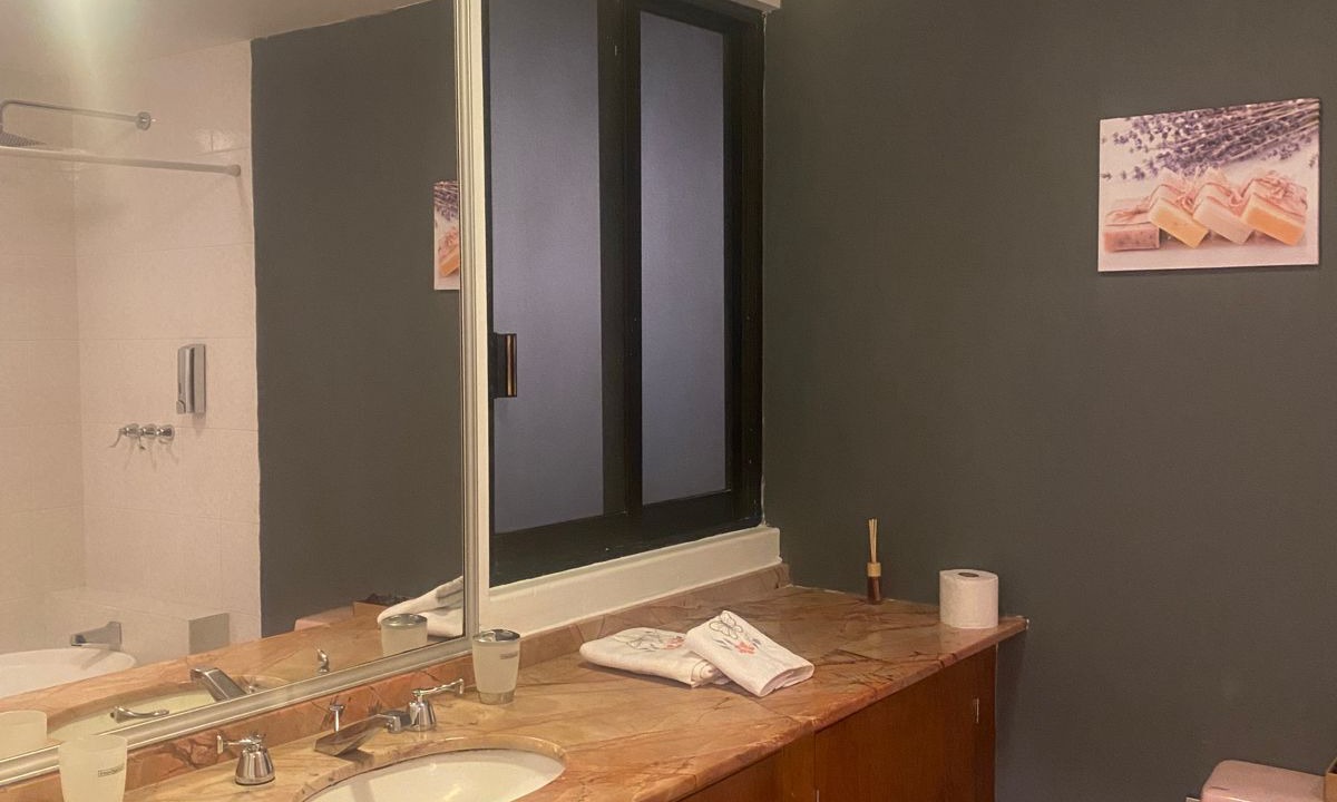Photo of Bathroom in Coyoacan
