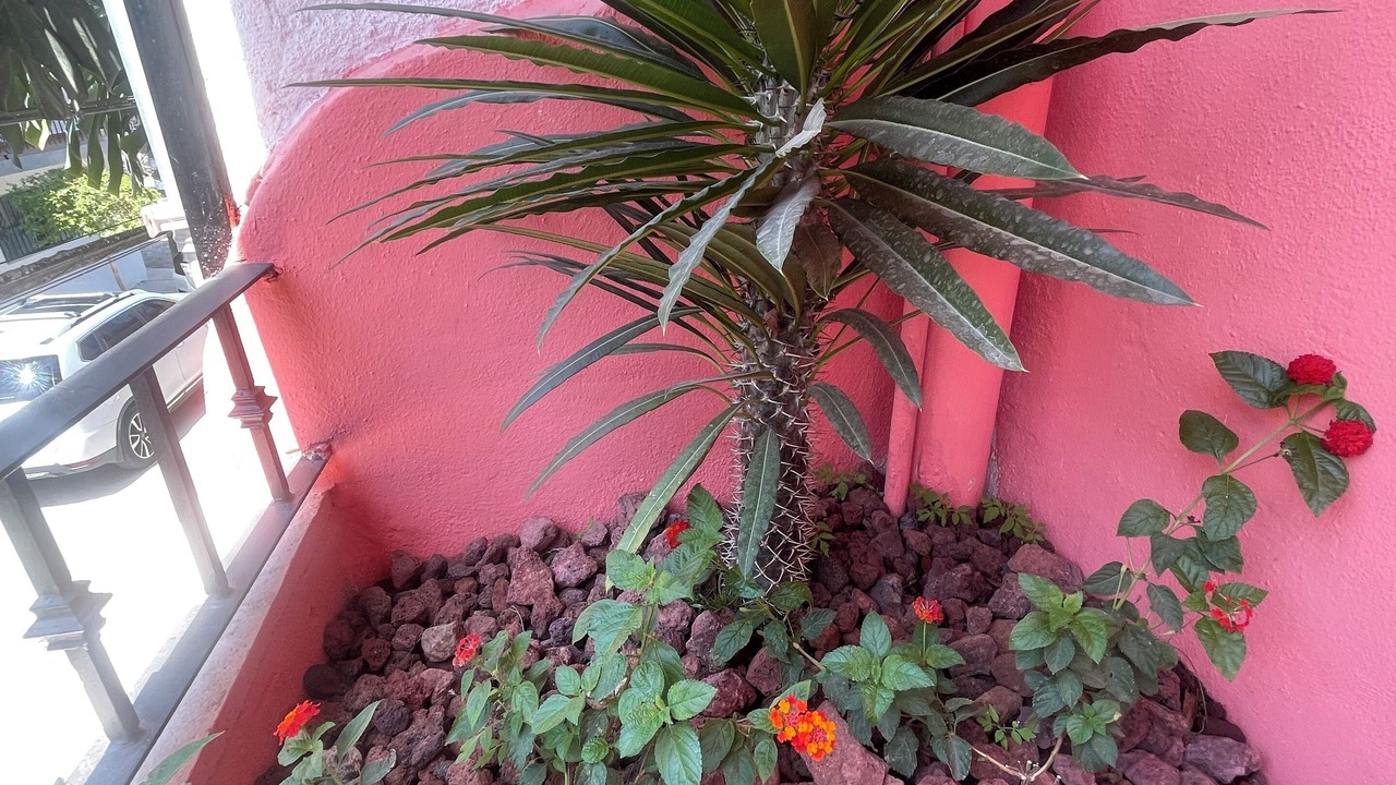Photo of Outdoor in Romantic Zone