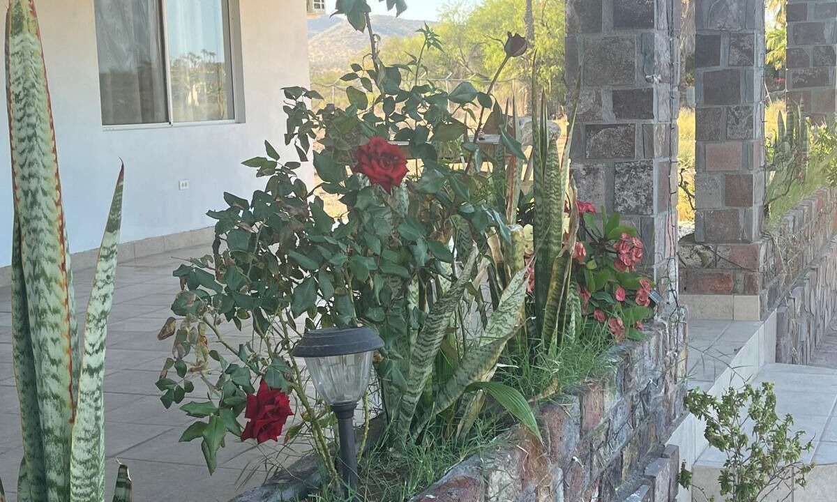 Photo of Outdoor in Mulege