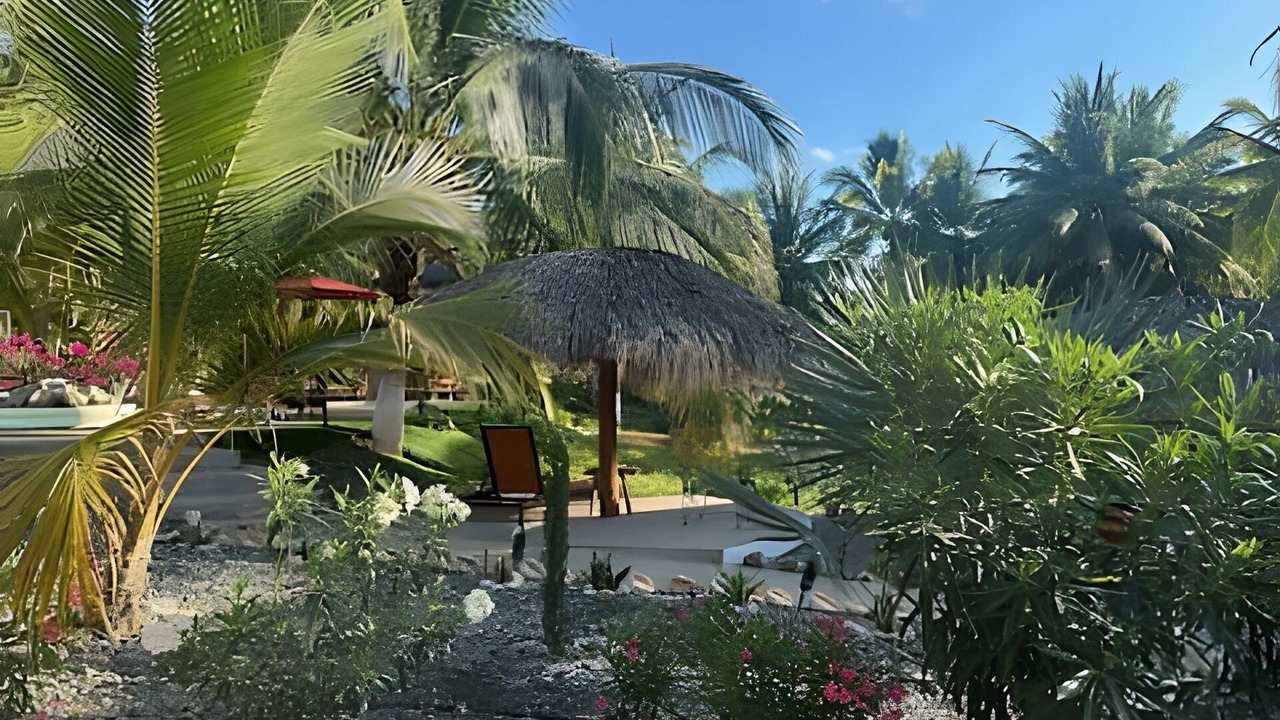 Photo of Outdoor in Saladita
